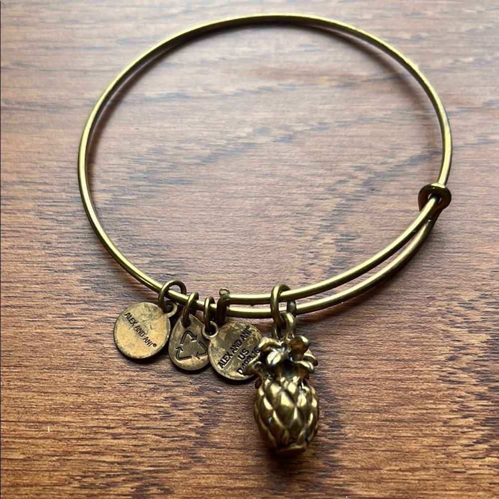 Gold Adjustable Charm Bracelet with Elegant Design